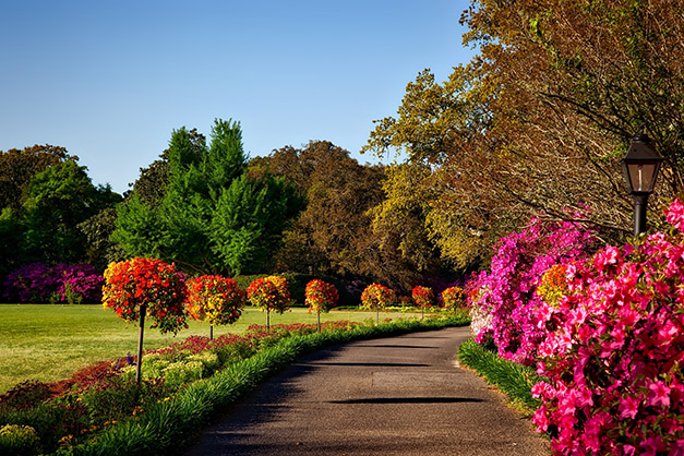 nicely landscaped driveway